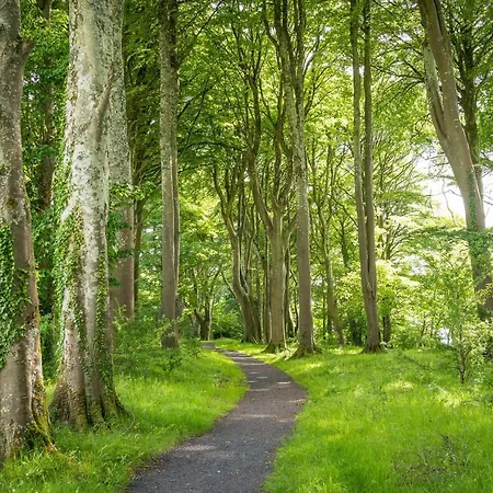 布拉菲酒店加spa 卡斯尔巴