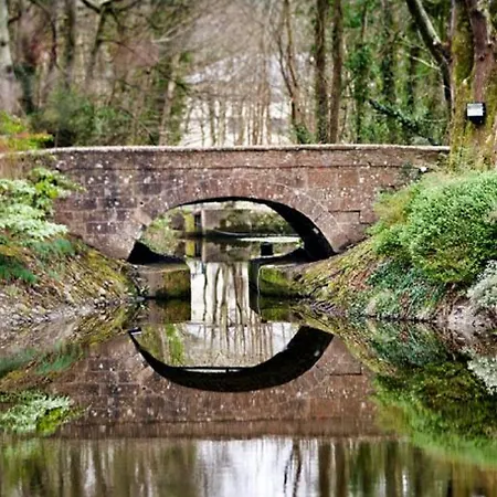 布拉菲酒店加spa