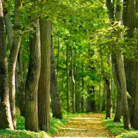 Breaffy House And Hotell Castlebar