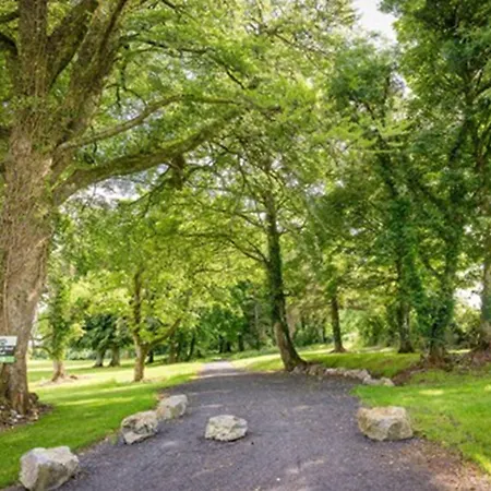 布拉菲酒店加spa 酒店 4*