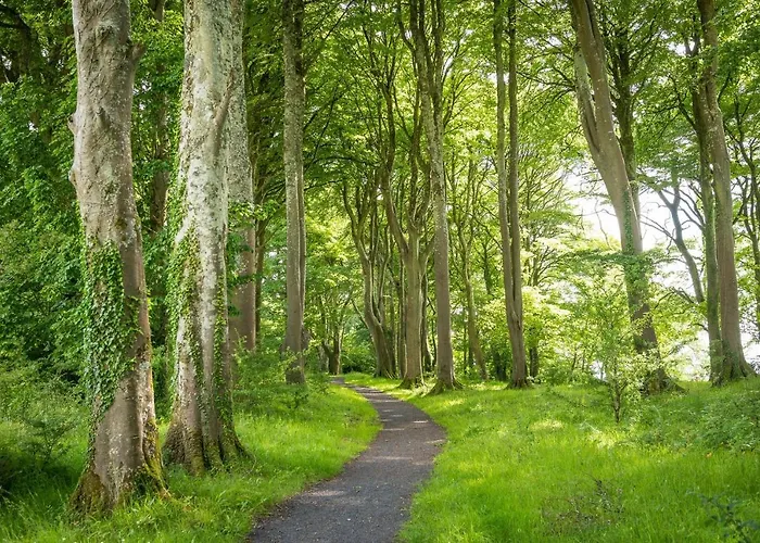 Breaffy House And Castlebar