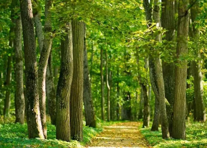 Breaffy House And Hotell Castlebar